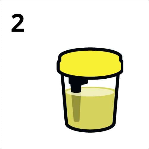 Collecting urine in the cup